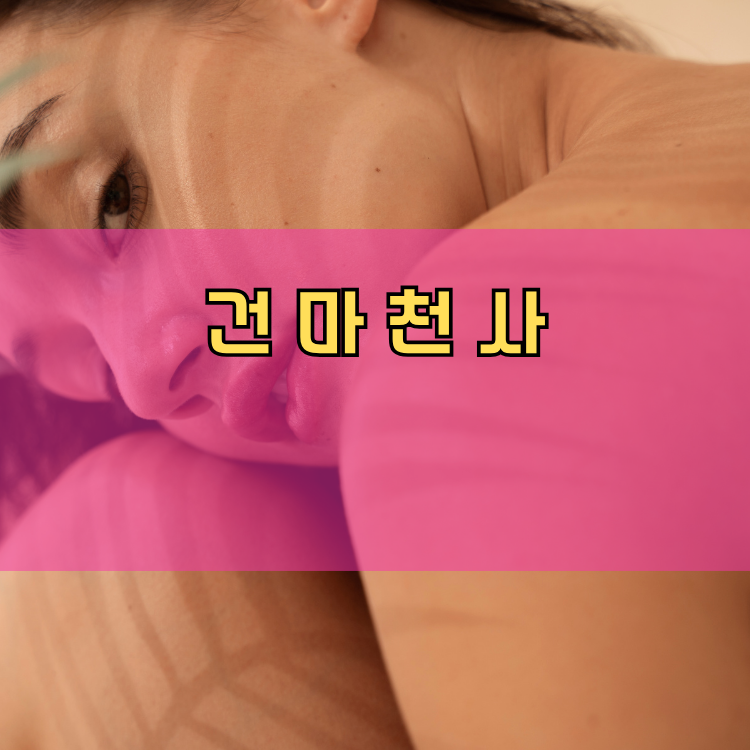 위례동 경기 지역 안내