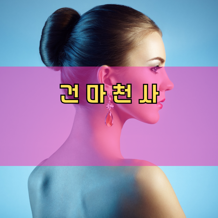 대야동 경기 지역 안내
