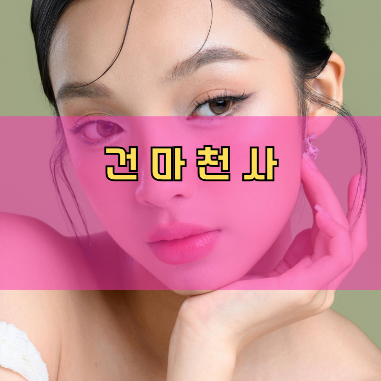 목감동 경기 지역 안내