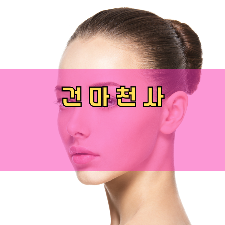 수원시 장안구 경기 지역 안내